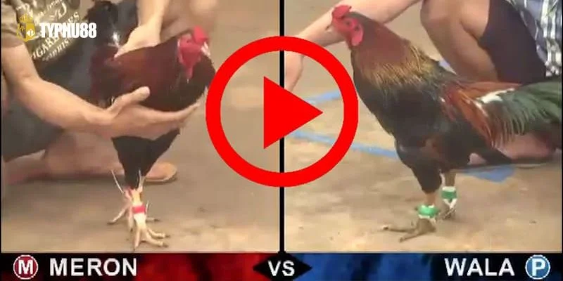 Bí quyết đánh nhanh thắng lớn giúp thành viên ẵm tiền khủng.